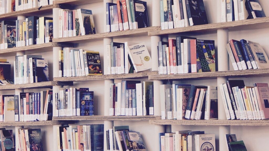 本がたくさんの本棚